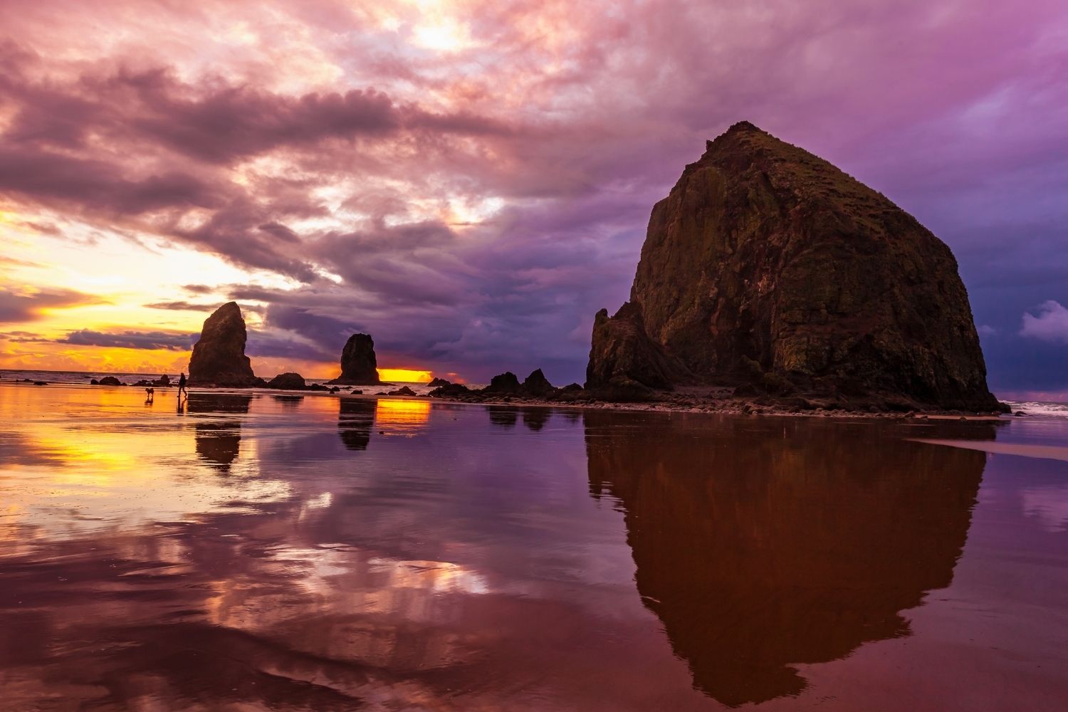 9 Incredible Things To Do In Cannon Beach Oregon