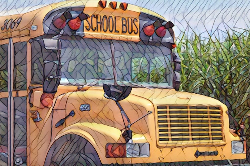 school bus conversion ideas